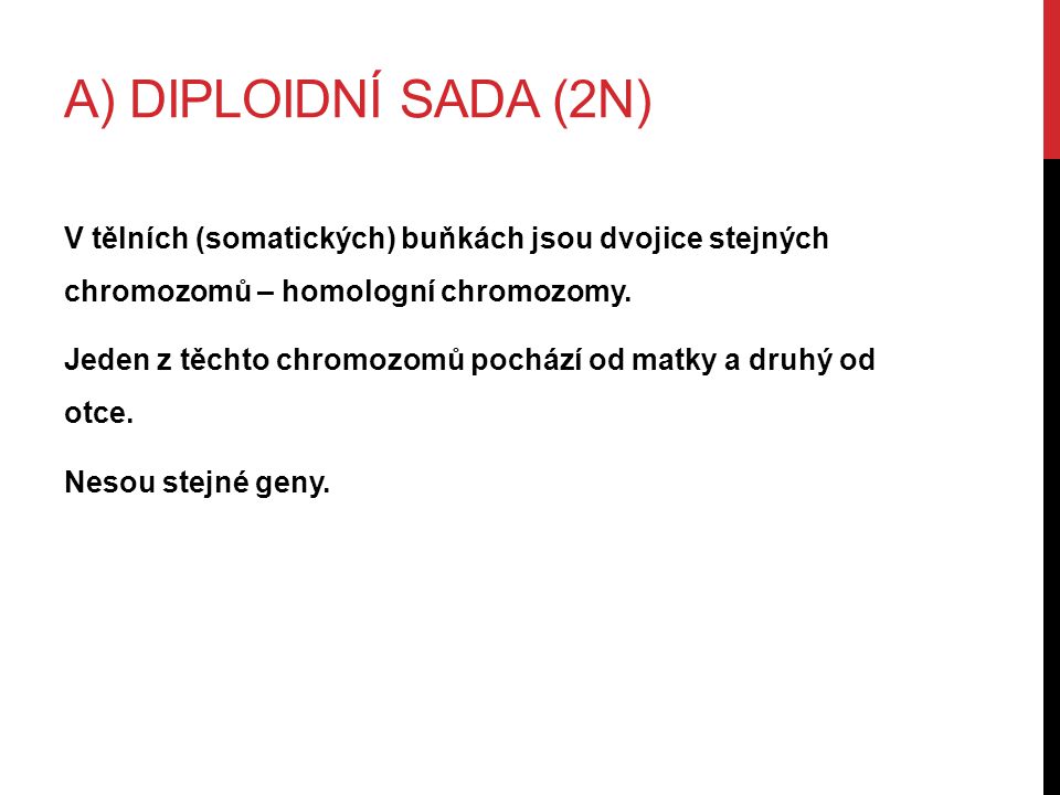 A) DIPLOIDNÍ SADA (2N) V tělních (somatických) buňkách jsou dvojice stejných chromozomů – homologní chromozomy.