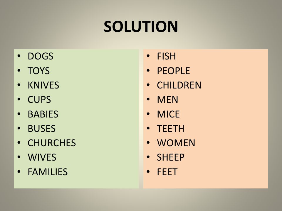 SOLUTION DOGS TOYS KNIVES CUPS BABIES BUSES CHURCHES WIVES FAMILIES FISH PEOPLE CHILDREN MEN MICE TEETH WOMEN SHEEP FEET