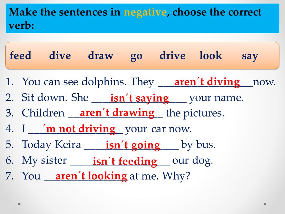 Make the sentences in negative, choose the correct verb: feed dive draw go drive look say 1.You can see dolphins.