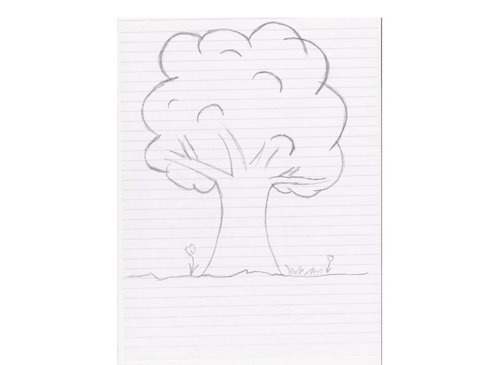 Výsledek obrázku pro kresba stromu test