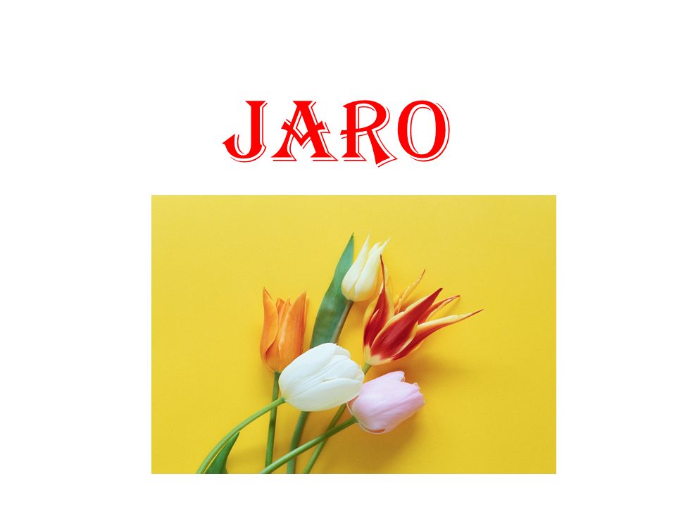 JARO