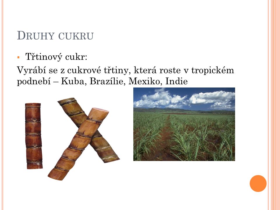 D RUHY CUKRU  Třtinový cukr: Vyrábí se z cukrové třtiny, která roste v tropickém podnebí – Kuba, Brazílie, Mexiko, Indie