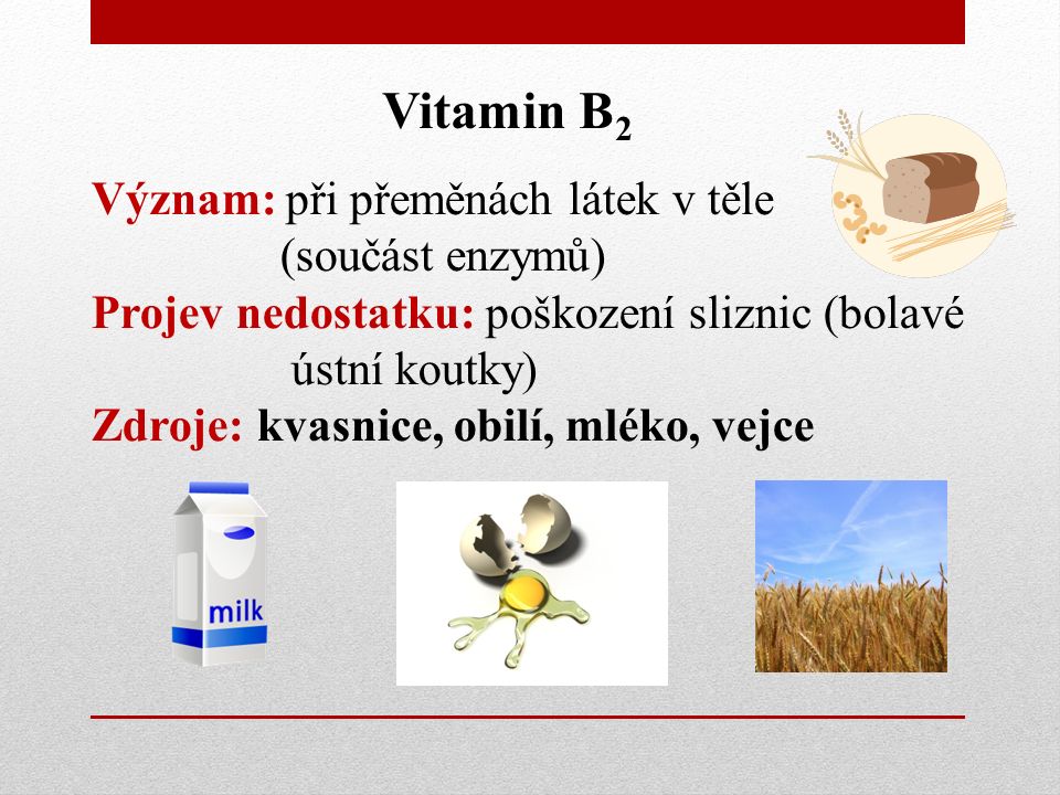 Vitamin B 2 Význam: při přeměnách látek v těle (součást enzymů) Projev nedostatku: poškození sliznic (bolavé ústní koutky) Zdroje: kvasnice, obilí, mléko, vejce