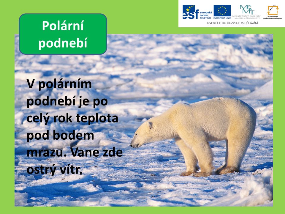 Polární podnebí V polárním podnebí je po celý rok teplota pod bodem mrazu. Vane zde ostrý vítr.