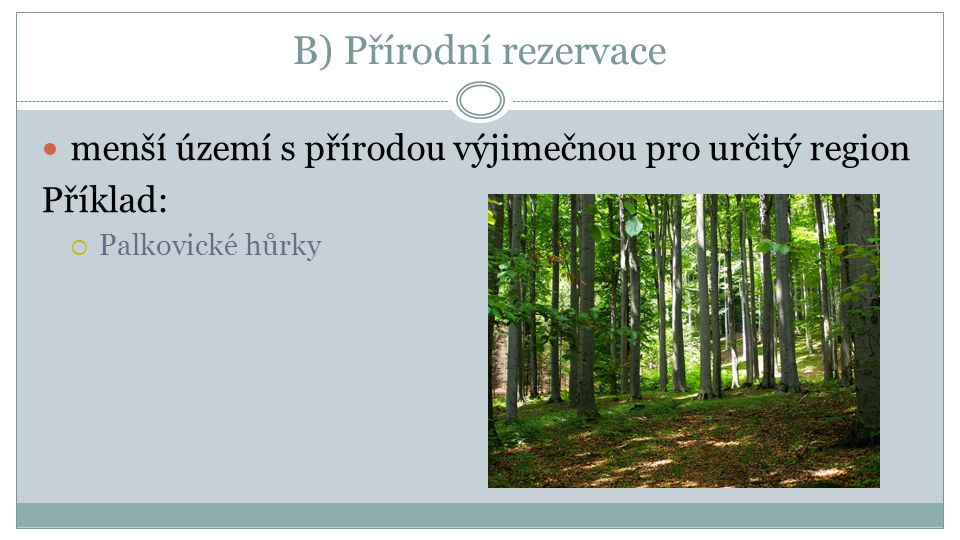 B) Přírodní rezervace  menší území s přírodou výjimečnou pro určitý region Příklad:  Palkovické hůrky