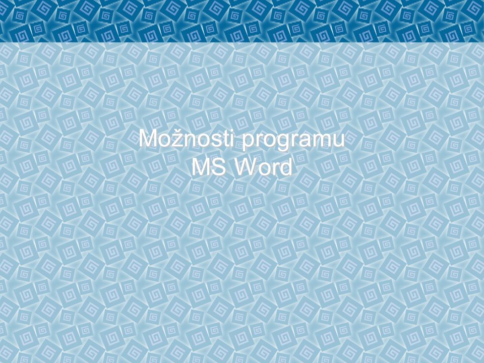 Možnosti programu MS Word