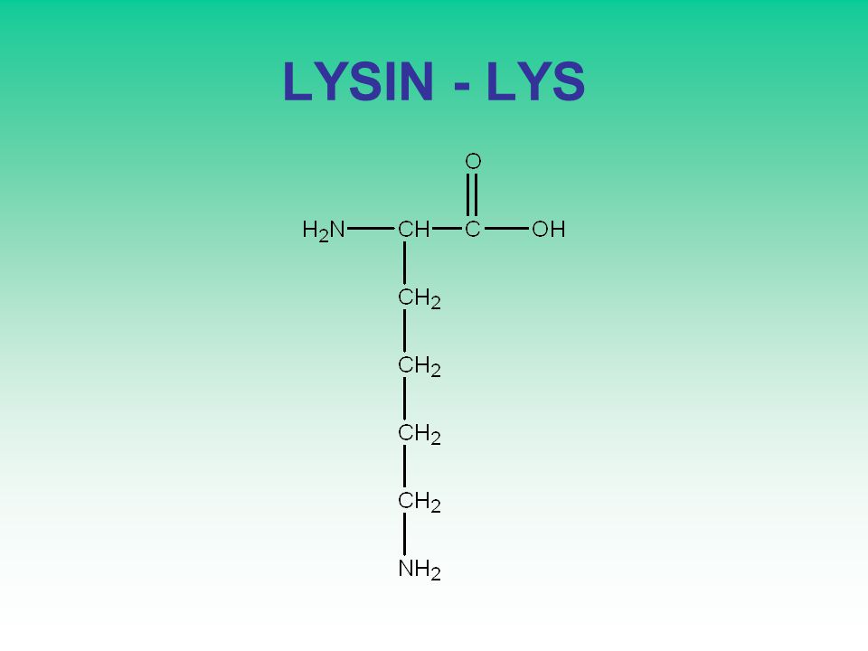 LYSIN - LYS