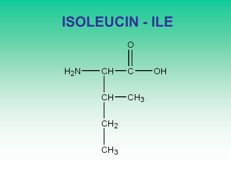 ISOLEUCIN - ILE