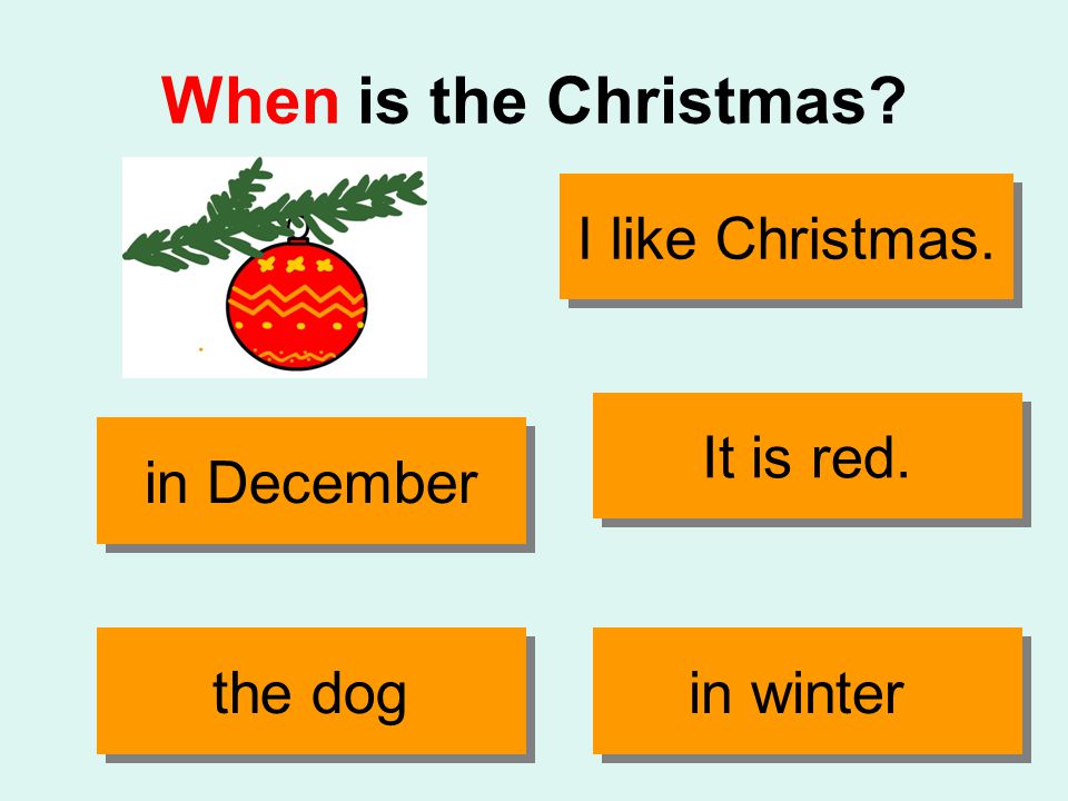When is the Christmas It is red. the dog in December in winter I like Christmas.