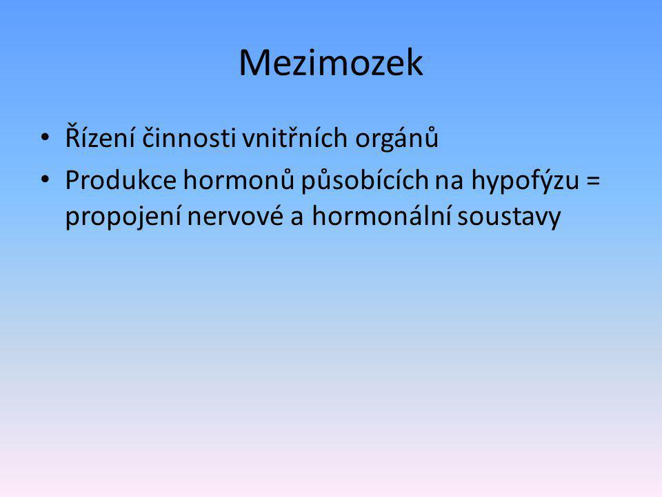 Mezimozek Řízení činnosti vnitřních orgánů Produkce hormonů působících na hypofýzu = propojení nervové a hormonální soustavy