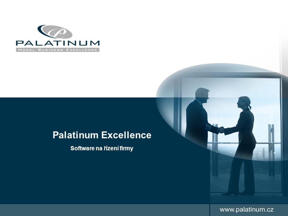 Palatinum Excellence Software na řízení firmy