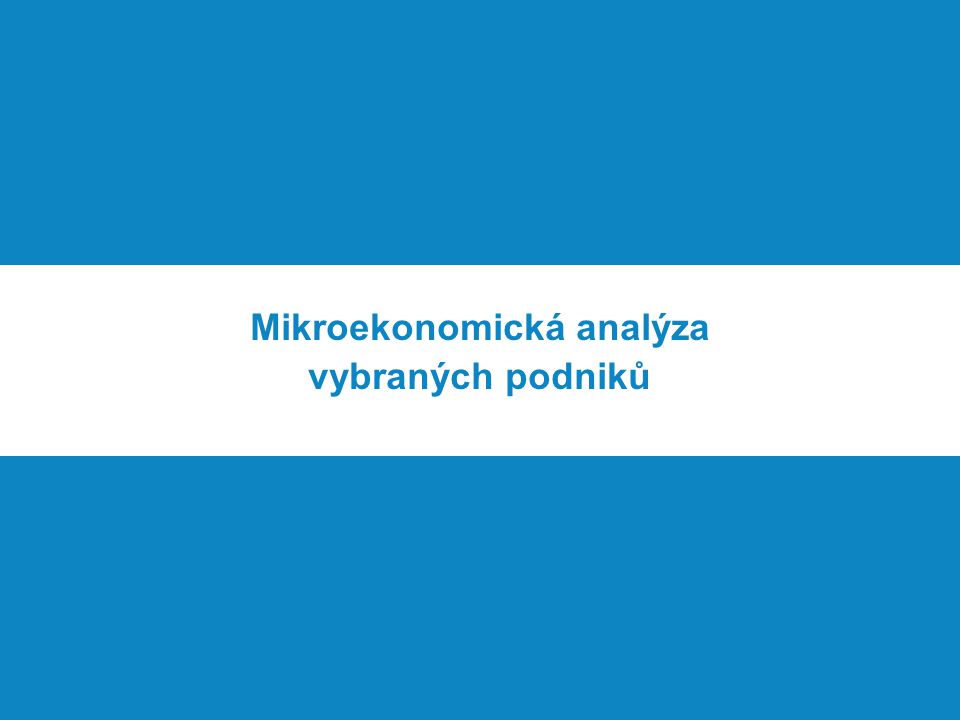 Mikroekonomická analýza vybraných podniků