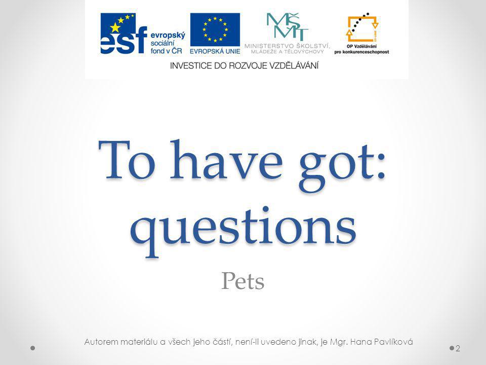 1 To have got - questions Anglický jazyk VY_32_INOVACE_377, 19.