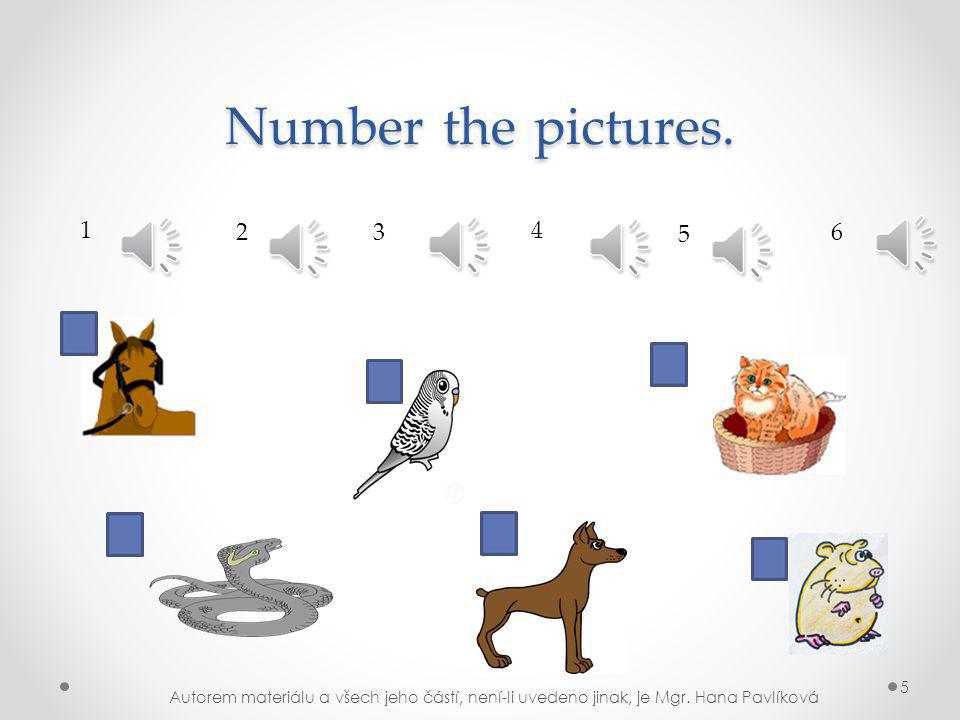 a snake a cat a budgie a dog a horse a hamster Connect the pictures to the words.