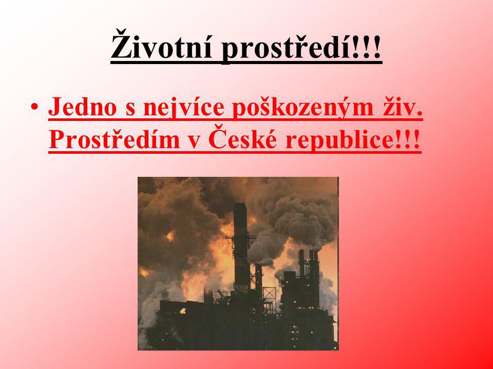 Životní prostředí!!! Jedno s nejvíce poškozeným živ. Prostředím v České republice!!!