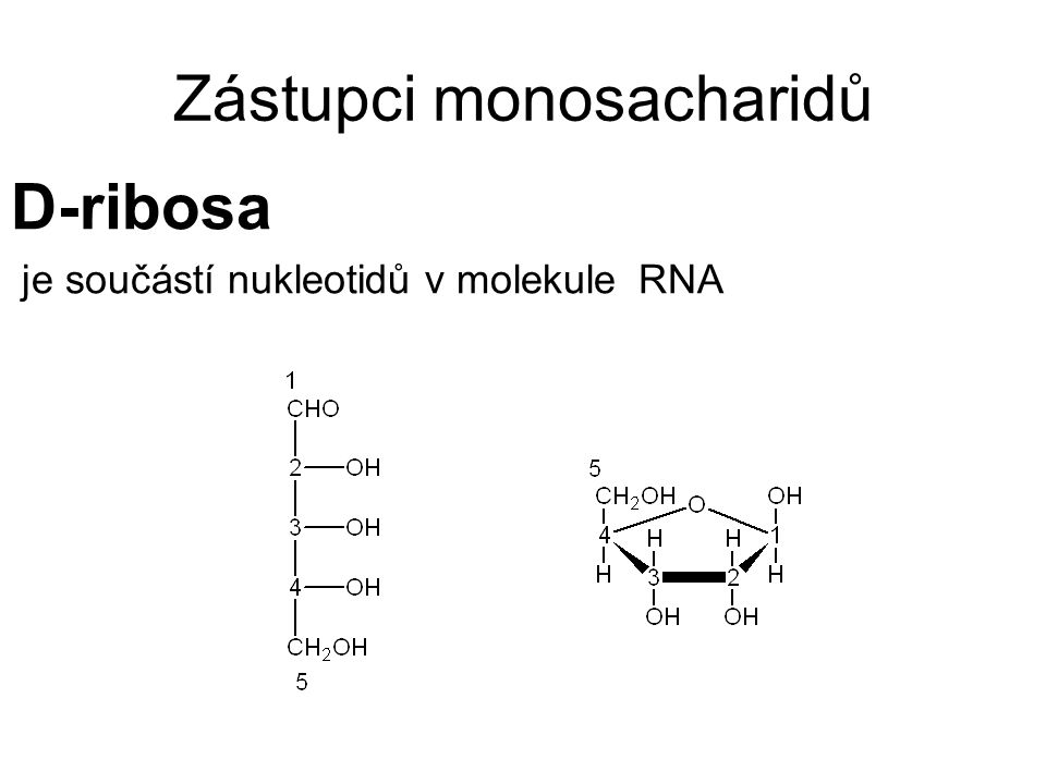 Zástupci monosacharidů D-ribosa je součástí nukleotidů v molekule RNA