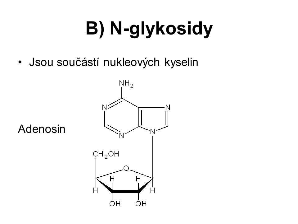 B) N-glykosidy Jsou součástí nukleových kyselin Adenosin