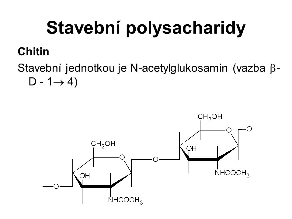 Stavební polysacharidy Chitin Stavební jednotkou je N-acetylglukosamin (vazba  - D - 1  4)