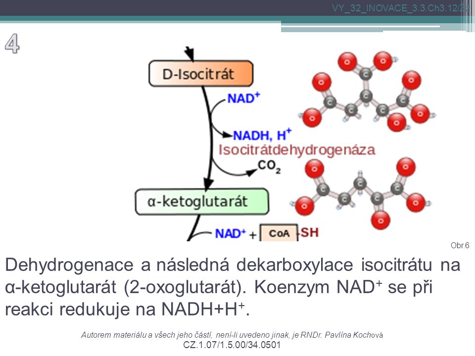 Dehydrogenace a následná dekarboxylace isocitrátu na α-ketoglutarát (2-oxoglutarát).