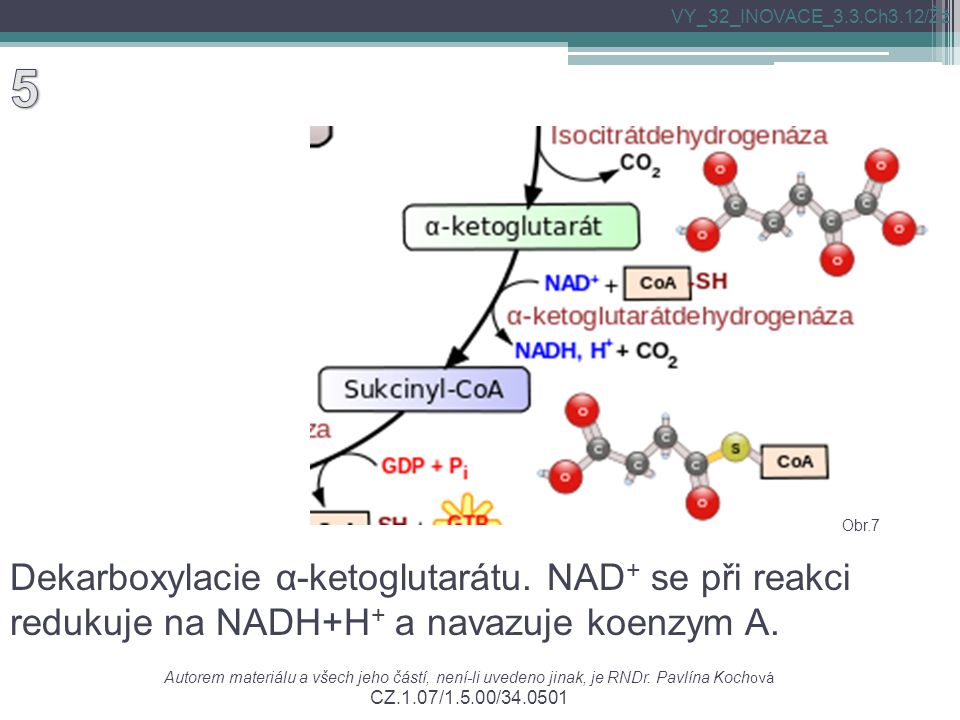 Dekarboxylacie α-ketoglutarátu. NAD + se při reakci redukuje na NADH+H + a navazuje koenzym A.