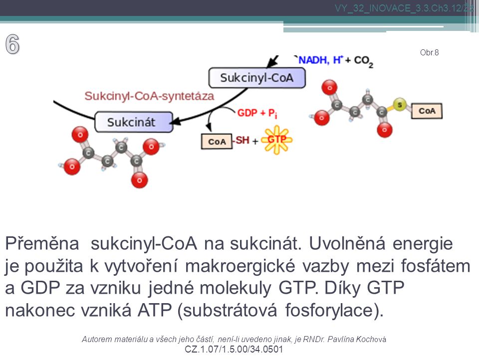 Přeměna sukcinyl-CoA na sukcinát.