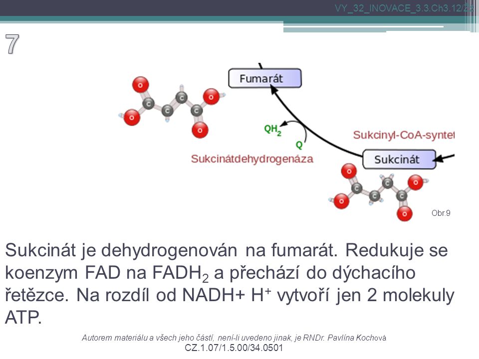 Sukcinát je dehydrogenován na fumarát.