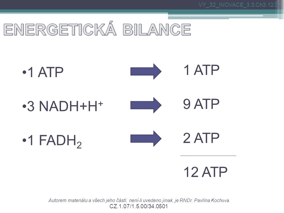 1 ATP 3 NADH+H + 1 FADH 2 1 ATP 9 ATP 2 ATP 12 ATP Autorem materiálu a všech jeho částí, není-li uvedeno jinak, je RNDr.