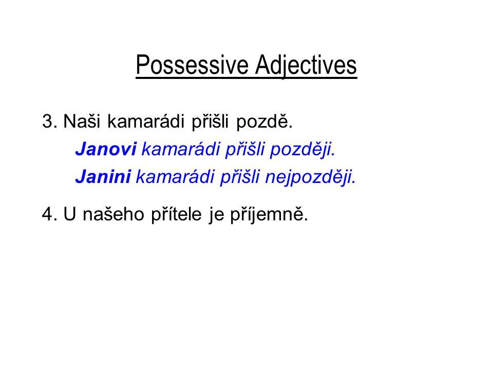 Possessive Adjectives 3. Naši kamarádi přišli pozdě.