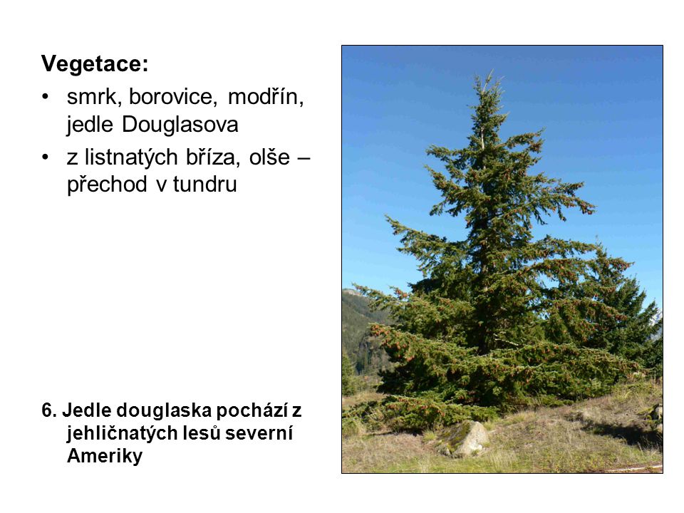 Vegetace: smrk, borovice, modřín, jedle Douglasova z listnatých bříza, olše – přechod v tundru 6.