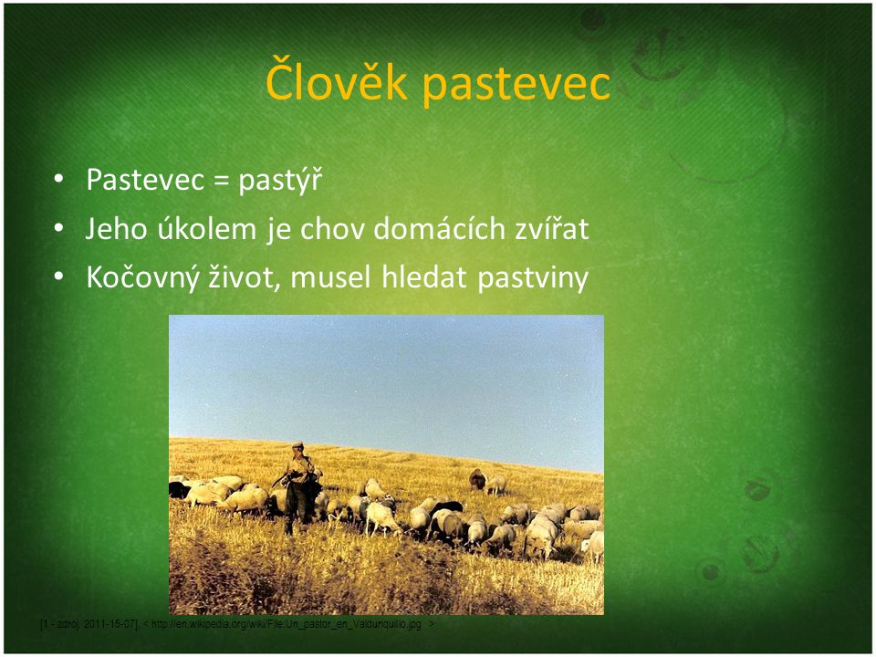 Člověk pastevec Pastevec = pastýř Jeho úkolem je chov domácích zvířat Kočovný život, musel hledat pastviny [1 - zdroj.