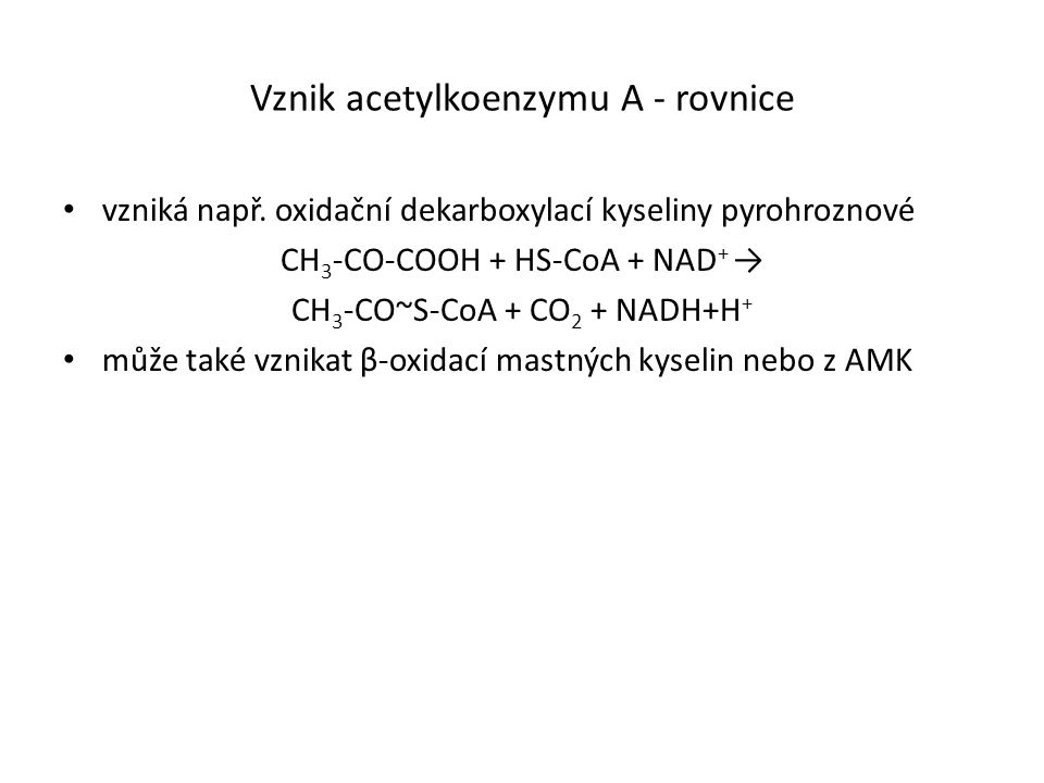 Vznik acetylkoenzymu A - rovnice vzniká např.