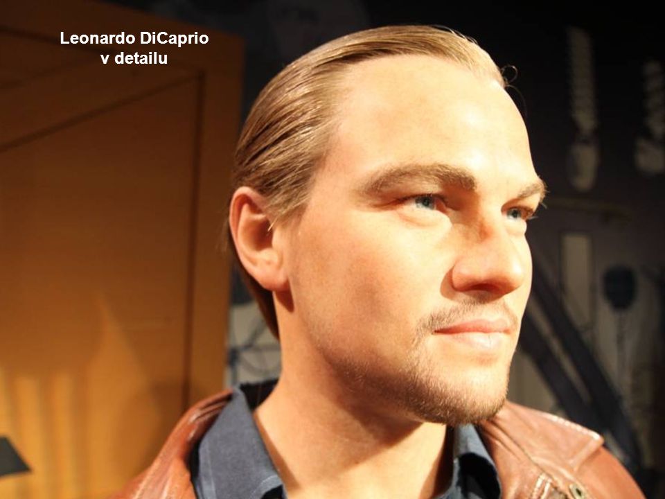 americký herec Leonardo DiCaprio