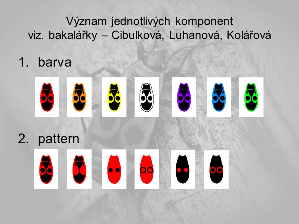 Význam jednotlivých komponent viz. bakalářky – Cibulková, Luhanová, Kolářová 1.barva 2.pattern