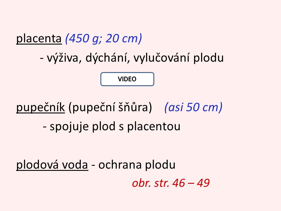placenta (450 g; 20 cm) - výživa, dýchání, vylučování plodu pupečník (pupeční šňůra) (asi 50 cm) - spojuje plod s placentou plodová voda - ochrana plodu obr.