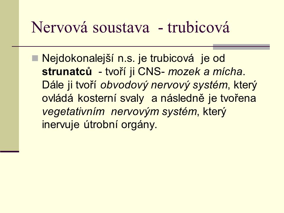 Nervová soustava - trubicová Nejdokonalejší n.s.