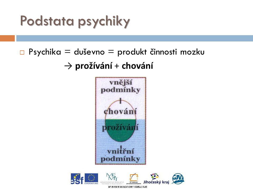 Podstata psychiky  Psychika = duševno = produkt činnosti mozku → prožívání + chování