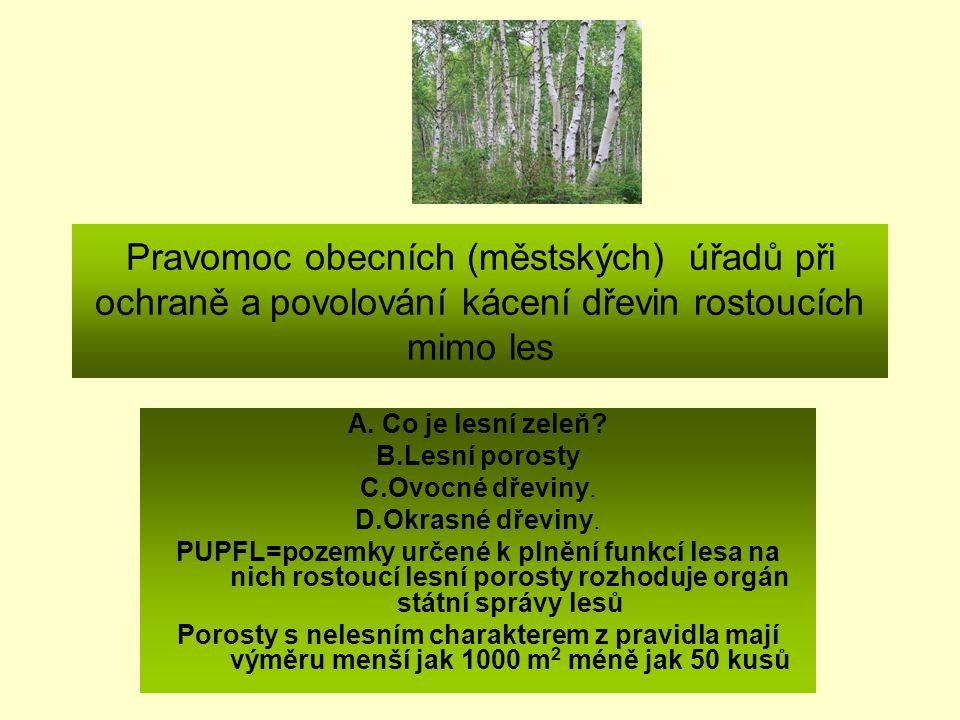 Pravomoc obecních (městských) úřadů při ochraně a povolování kácení dřevin rostoucích mimo les A.