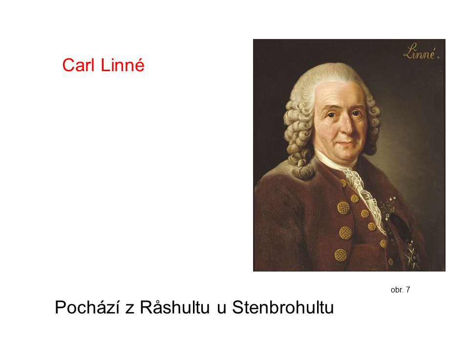 Carl Linné Pochází z Råshultu u Stenbrohultu obr. 7