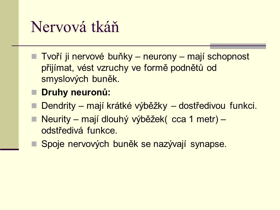Nervová tkáň Tvoří ji nervové buňky – neurony – mají schopnost přijímat, vést vzruchy ve formě podnětů od smyslových buněk.