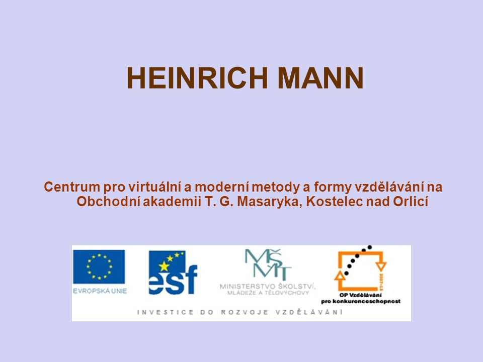 HEINRICH MANN Centrum pro virtuální a moderní metody a formy vzdělávání na Obchodní akademii T.