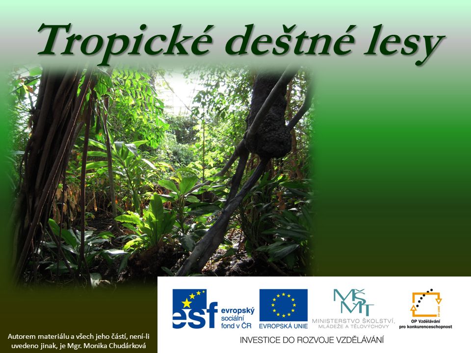 Tropické deštné lesy Autorem materiálu a všech jeho částí, není-li uvedeno jinak, je Mgr.