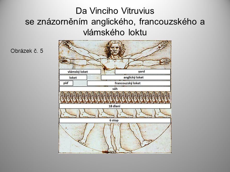 Da Vinciho Vitruvius se znázorněním anglického, francouzského a vlámského loktu Obrázek č. 5
