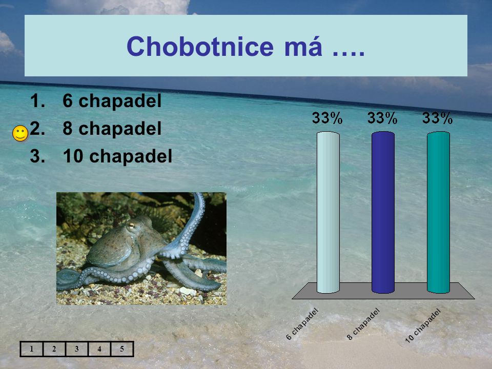 Chobotnice má …. 1.6 chapadel 2.8 chapadel 3.10 chapadel 12345