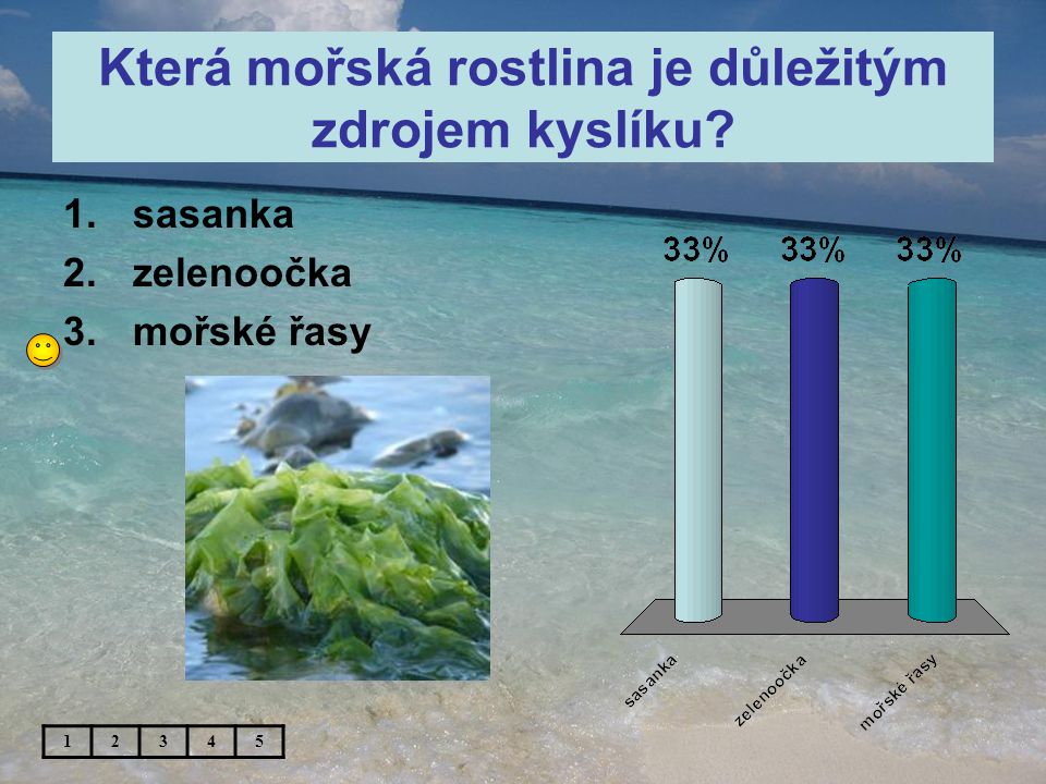 Která mořská rostlina je důležitým zdrojem kyslíku 1.sasanka 2.zelenoočka 3.mořské řasy 12345