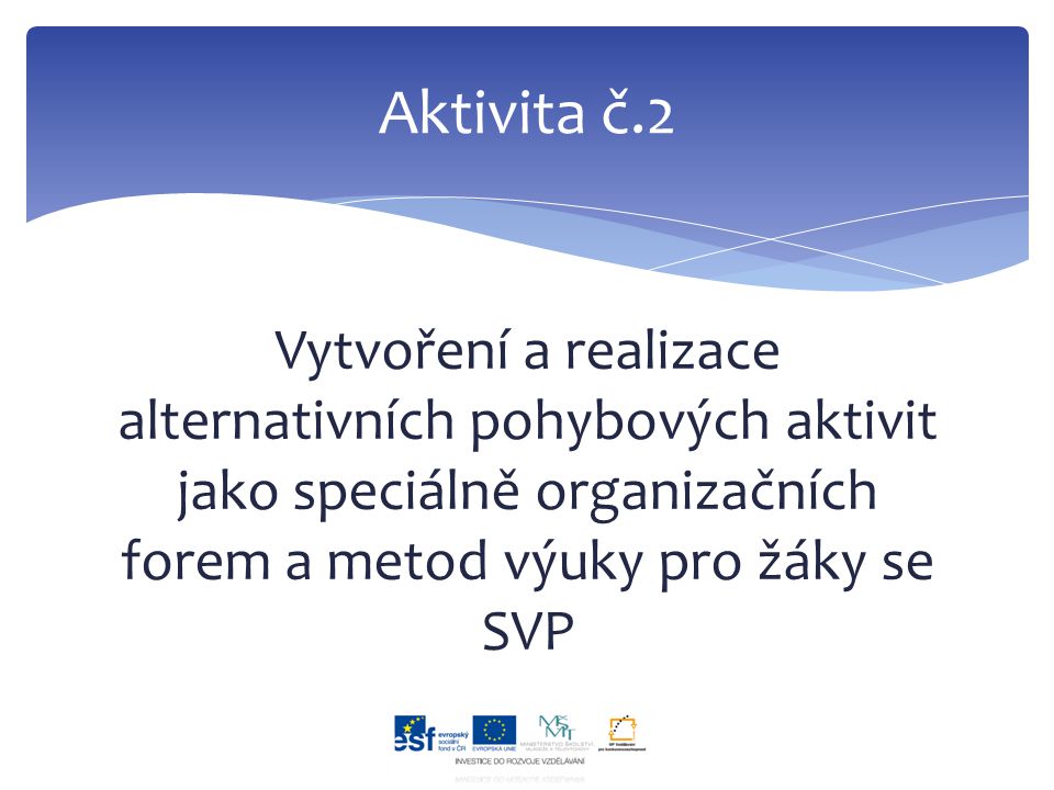 Vytvoření a realizace alternativních pohybových aktivit jako speciálně organizačních forem a metod výuky pro žáky se SVP Aktivita č.2
