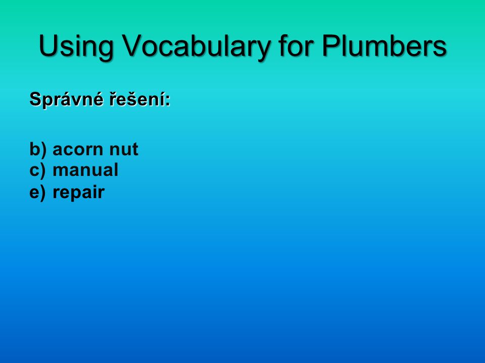 Using Vocabulary for Plumbers Správné řešení: b) acorn nut c) manual e) repair