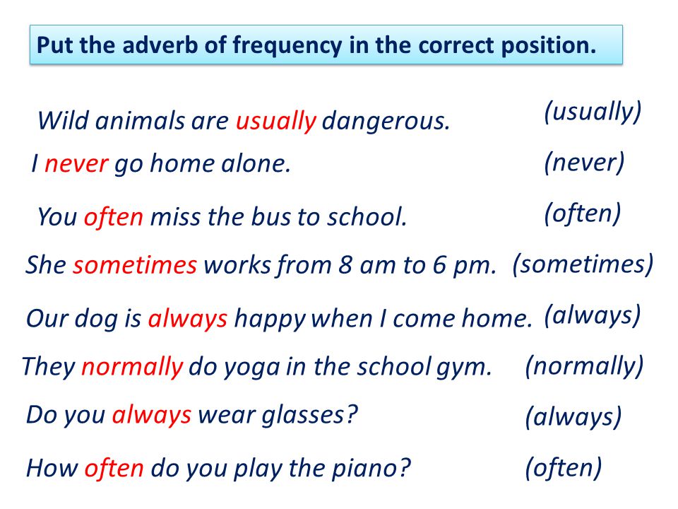 Put the adverb of frequency in the correct position.