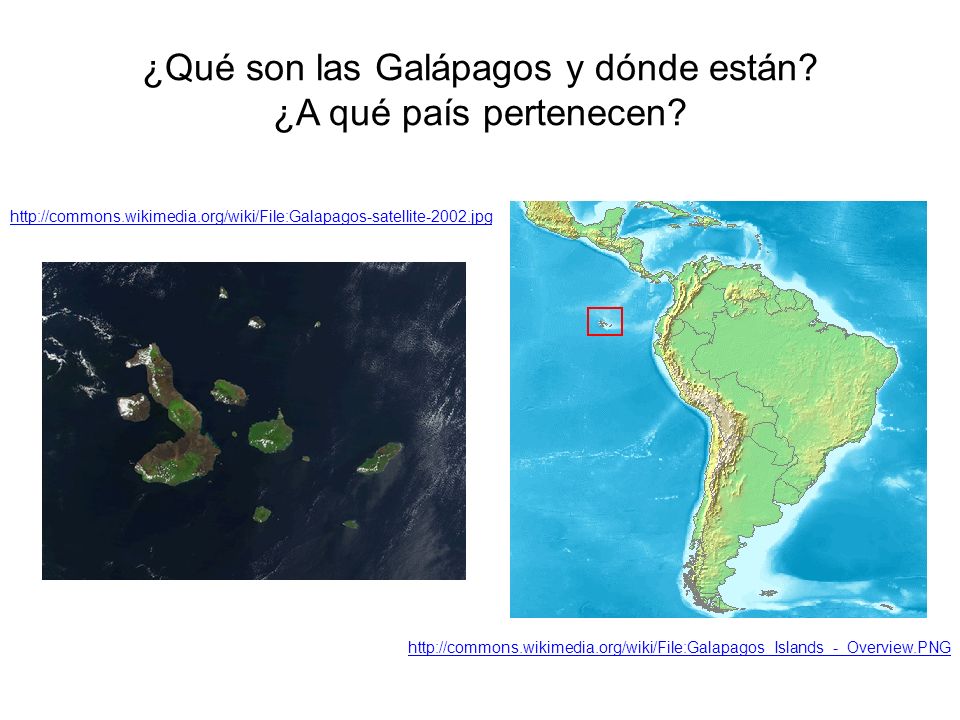 ¿Qué son las Galápagos y dónde están. ¿A qué país pertenecen.