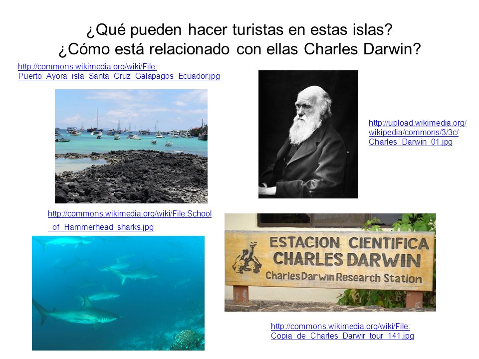 ¿Qué pueden hacer turistas en estas islas. ¿Cómo está relacionado con ellas Charles Darwin.