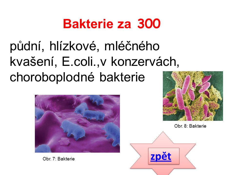 půdní, hlízkové, mléčného kvašení, E.coli.,v konzervách, choroboplodné bakterie zpět Bakterie za 300 Obr.